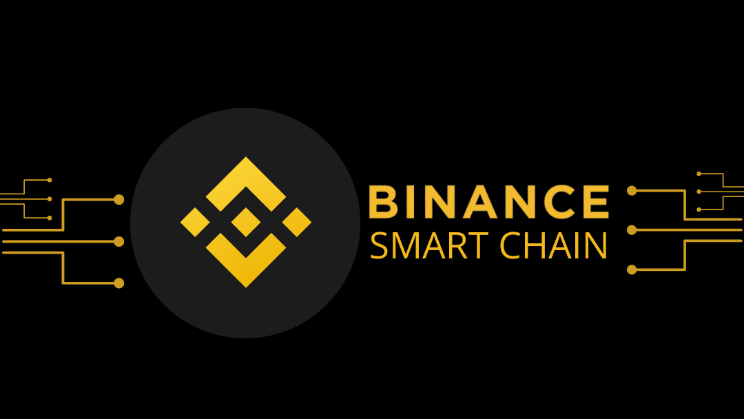 Binance Smart Chain Bsc Top Coin 2021 2022